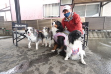 オグショー看板犬と同じおっぽの会様出身のワンちゃんが遊びに来てくれました！